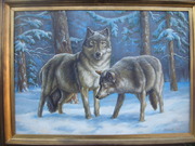 волки зимой